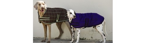 Equipamento C&atilde;o