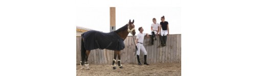 Camisas /Polos de Concurso