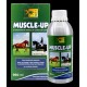 Muscle Up - Potencia o Desenvolvimento Muscular- 960ML