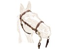Cabe&ccedil;ada Portuguesa Zaldi M. Cortesia Castanho/Dourado