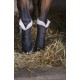 Protectores de Descanso Norton