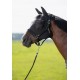 Anty Fly Mask - Elastic- Mascara anti moscas - Elástica-