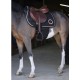 FAIXA PROTECTORA DE ESPORINS NORTON