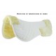 Protector de Dorso R. World
