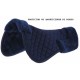 Protector de Dorso R. World