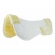 Protector de Dorso R. World