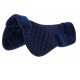 Protector de Dorso R. World